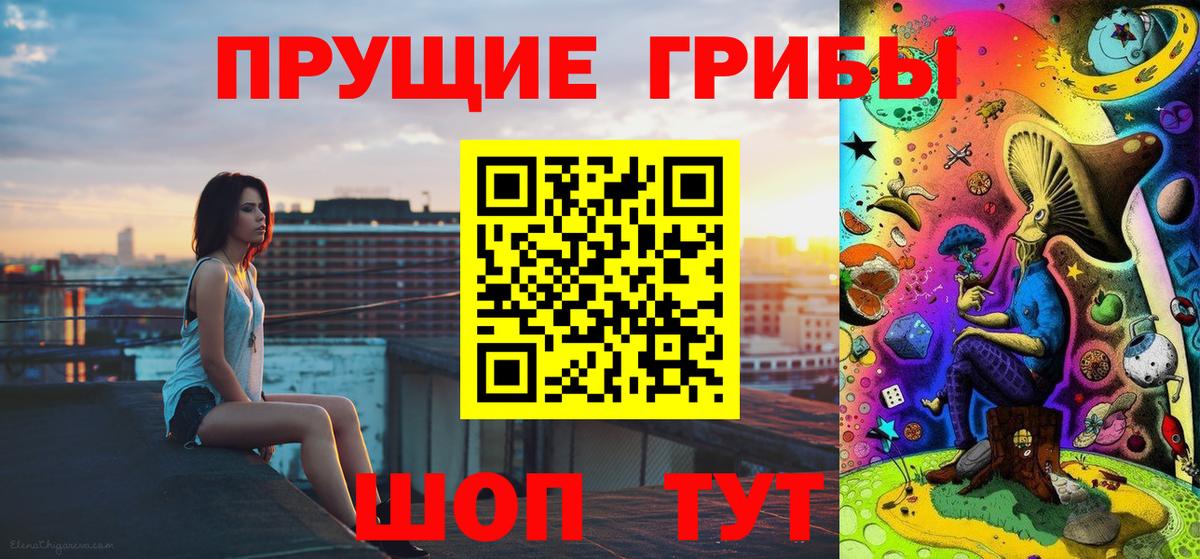 Псилоцибиновые грибы Psilocybine cubensis  Вход с VPN  Верхняя Пышма  Псилоцибиновые грибы мицелий 